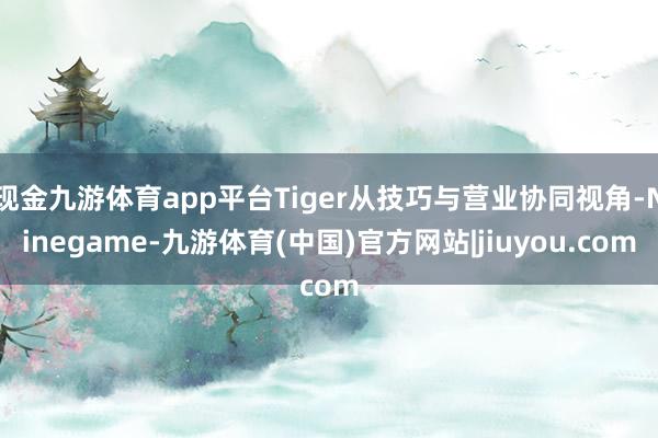 现金九游体育app平台Tiger从技巧与营业协同视角-Nin