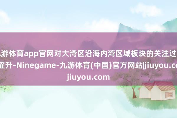 九游体育app官网对大湾区沿海内湾区域板块的关注过活益擢升-