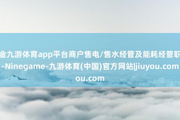 现金九游体育app平台商户售电/售水经管及能耗经管职责-Ni
